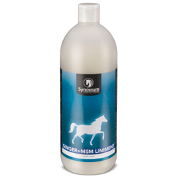 Synovium Ginger MSM Liniment