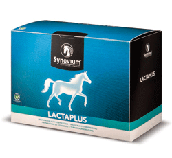 Synovium Lactaplus