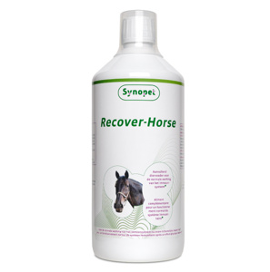 Synopet Recover Horse |Stalapotheek.nl